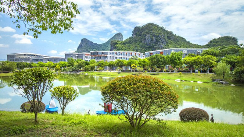 电子配件厂家代理：揭秘背后的供应链奥秘**