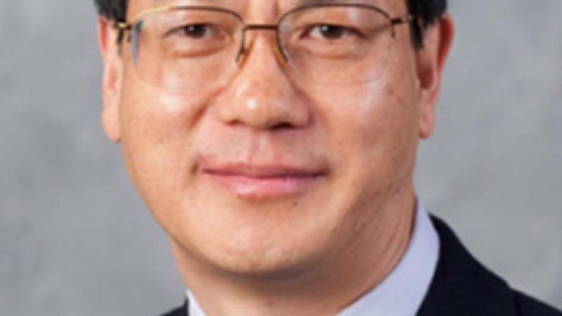 上海二极管批发市场：价格走势背后的行业逻辑